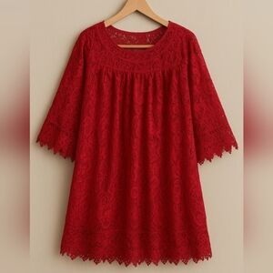 Chasing fireflies dreamy lace shift dress S L XL